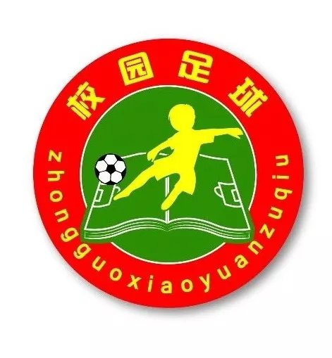 2019全国“满天星”训练营经验交流活动